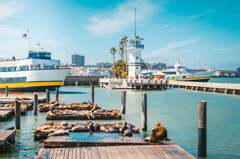 Security Guards in Fisherman’s Wharf - San Francisco, California