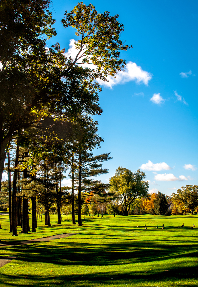 Security Guards in Detroit Golf - Detroit, Michigan