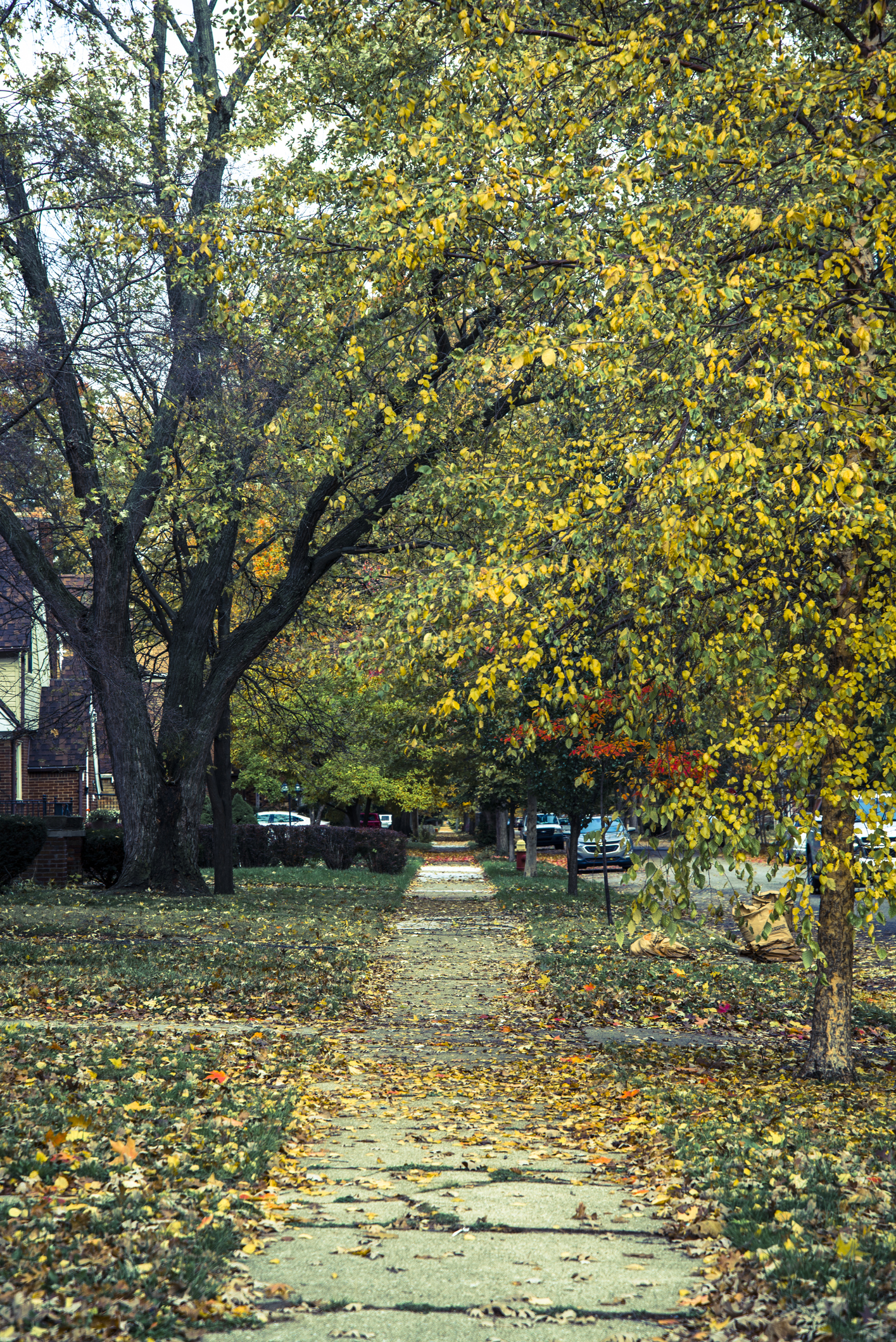 Security Guards in East English Village - Detroit, Michigan