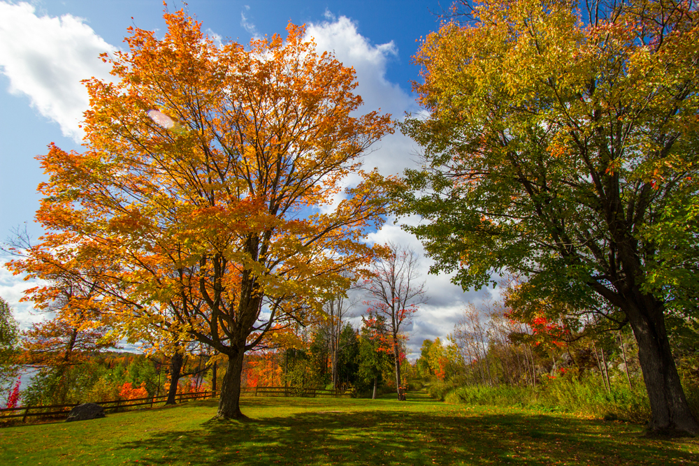 Security Guards in Green Acres - Detroit, Michigan