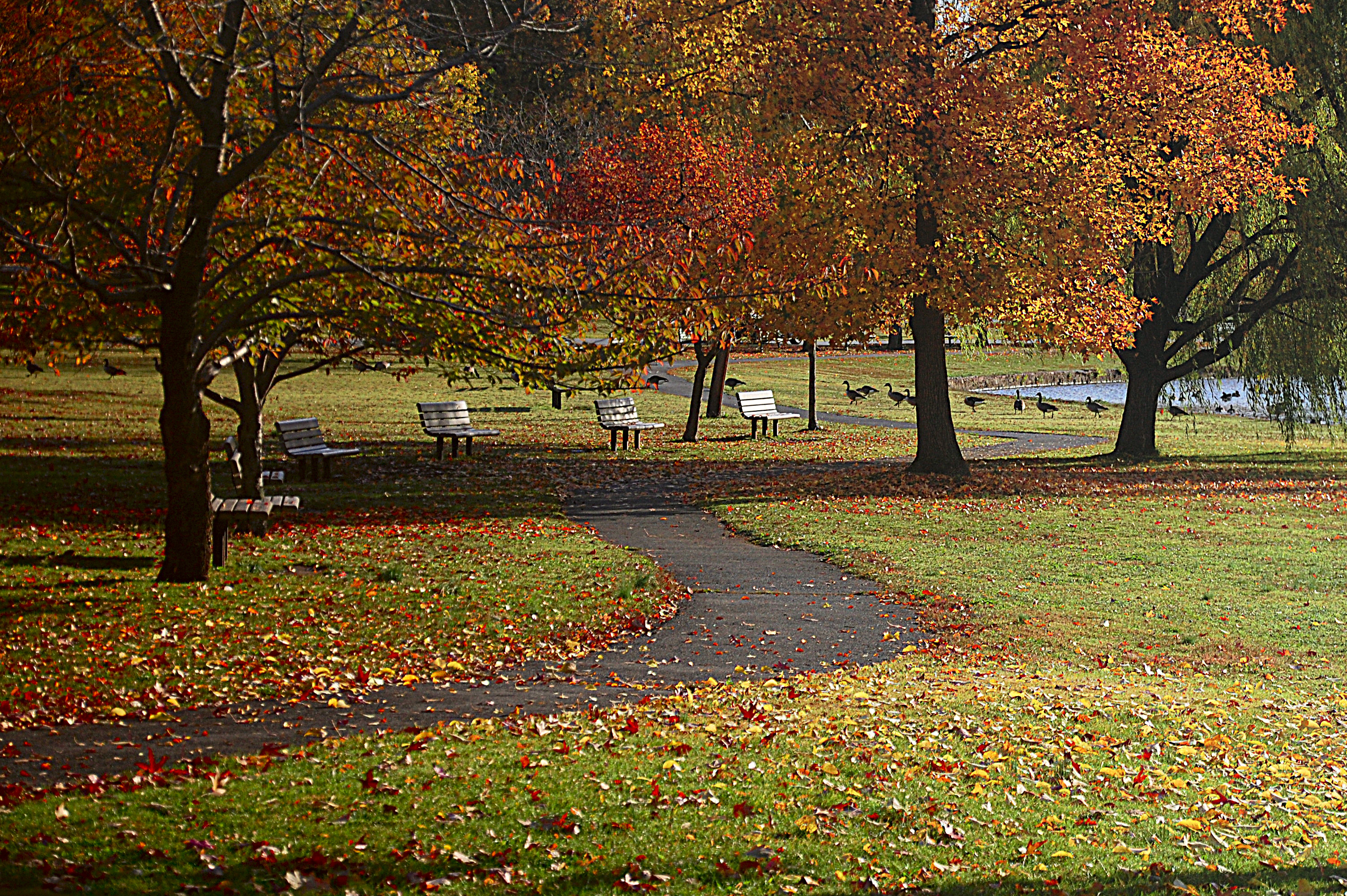 Security Guards in Passaic - New Jersey