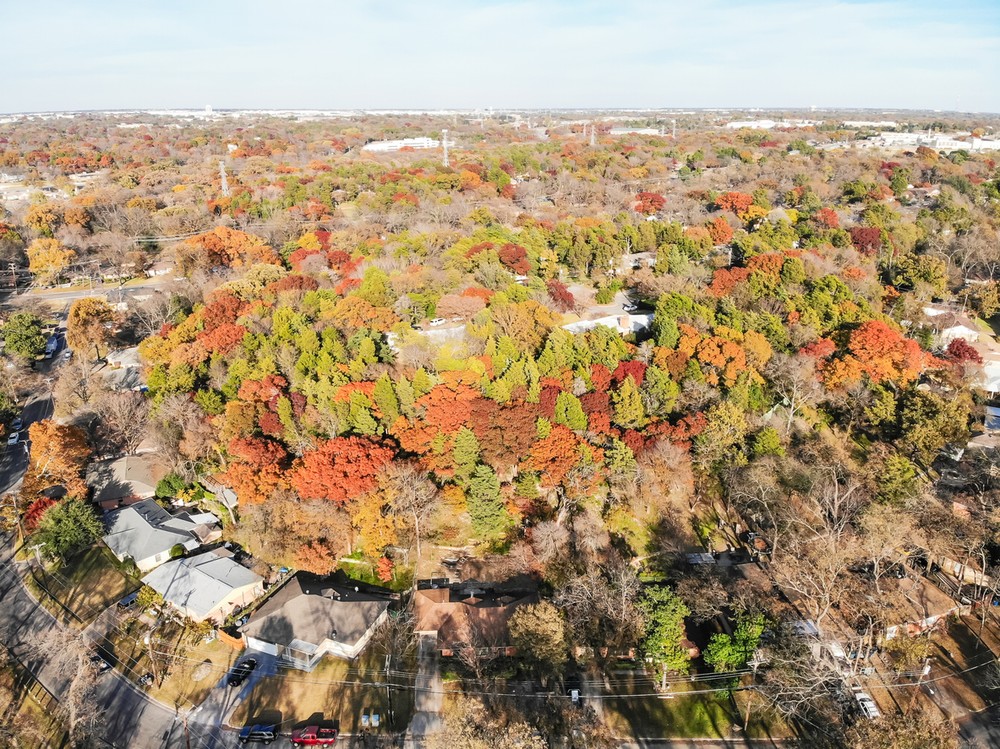 Security Guards in Northwood Hills - Dallas, Texas